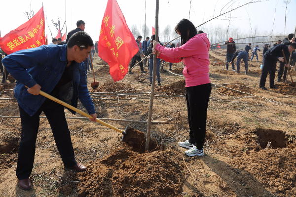 恒源熱力集團(tuán)團(tuán)委開展植樹活動