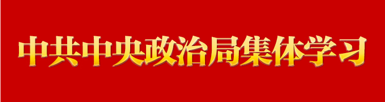 習近平在中共中央政治局第十五次集體學習時強調(diào)貫徹落實新時代黨的建設(shè)總要求 進一步健全全面從嚴治黨體系